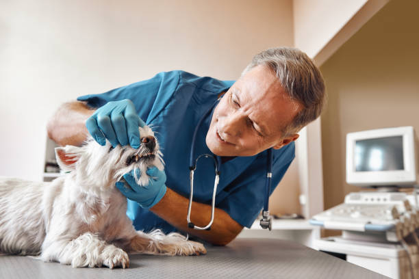 Best Emergency Wisdom Tooth Extraction in East Mckeesport, PA